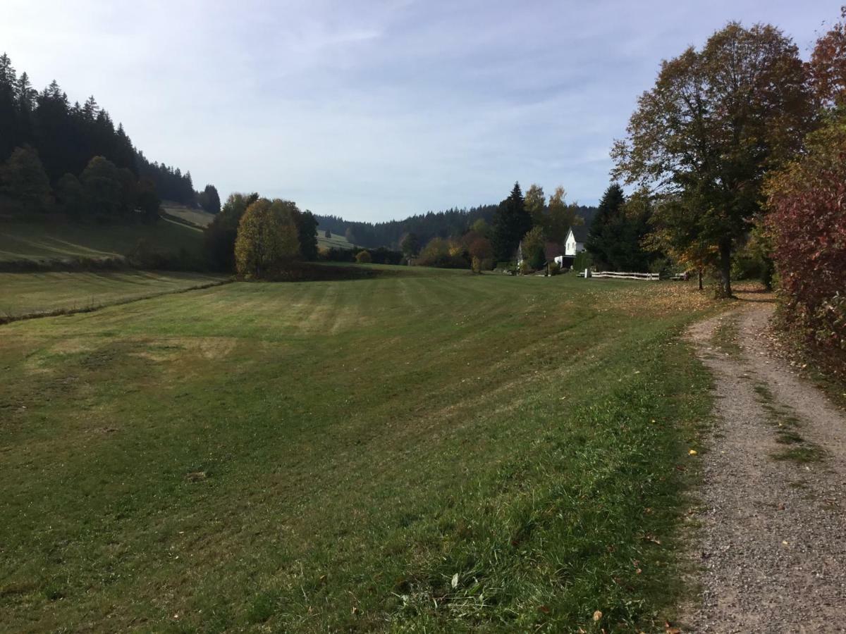 Gemuetliche 1Z Fewo In Schoenwald Mit Balkon, Schwimmbad, Sauna, Fitness Екстериор снимка