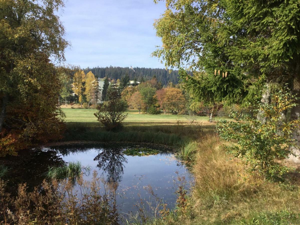 Gemuetliche 1Z Fewo In Schoenwald Mit Balkon, Schwimmbad, Sauna, Fitness Екстериор снимка